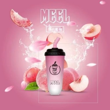 一次性電子煙