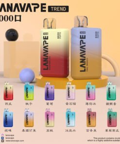 拋棄式